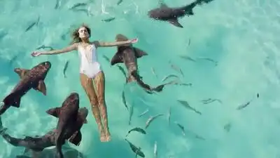 Скачать клип