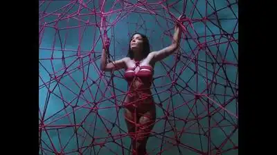 Скачать клип