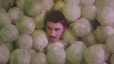 скачать клип Дима Билан - Про белые розы