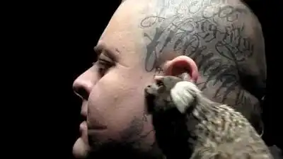 скачать клип Merkules - All Night Long