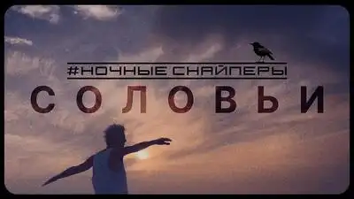 скачать клип Ночные Снайперы - Соловьи