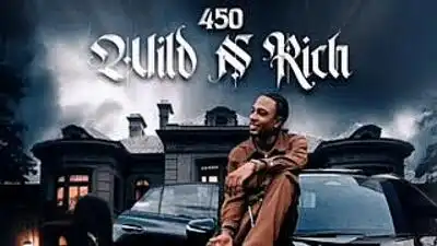 скачать клип 450 - Wild n Rich