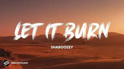 скачать клип Shaboozey - Let It Burn
