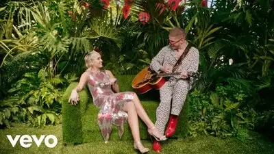 скачать клип Miley Cyrus - Plastic Hearts