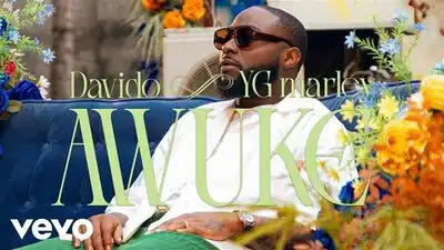 скачать клип Davido, YG Marley - Awuke