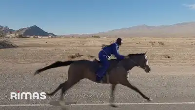 скачать клип Bad Bunny - VOU 787