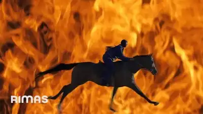 скачать клип Bad Bunny - MR. OCTOBER