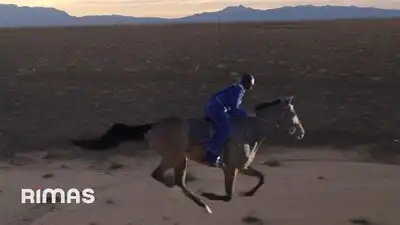 скачать клип Bad Bunny - LOS PITS