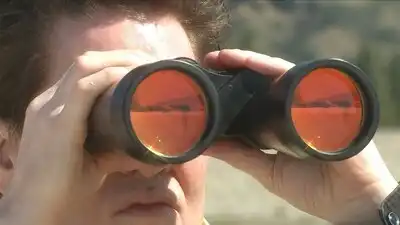 Скачать клип