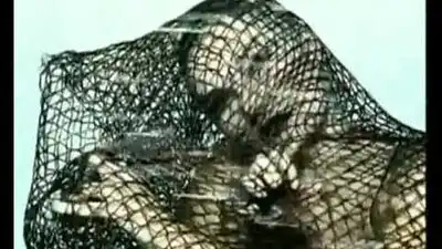 скачать клип WHIGFIELD - No Tears No Cry